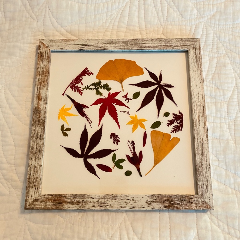 Framed Botanical Leaf Art